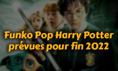 Les Figurines Funko Pop Harry Potter Prévues pour la Fin d'Année 2022