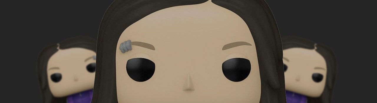 Liste figurines Funko Pop Jonathan Davis par année