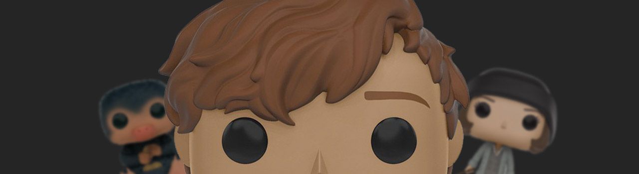 Achat Figurine Funko Pop Les Animaux Fantastiques 13 Gellert Grindelwald pas cher