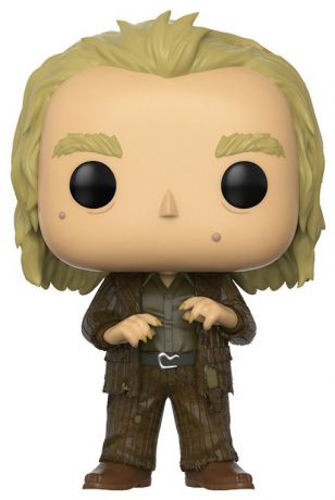 Figurine Funko Pop Harry Potter #48 Peter Pettigrow