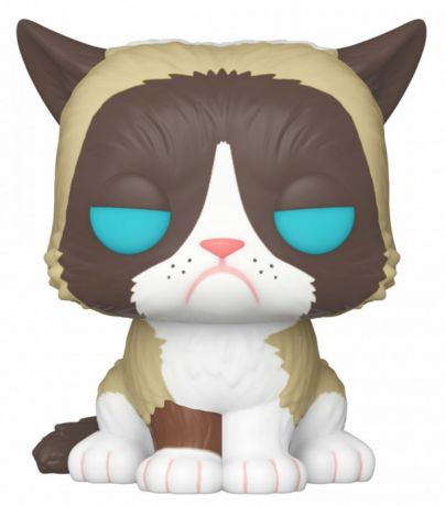 Figurine Funko Pop Célébrités #60 Chat grincheux 