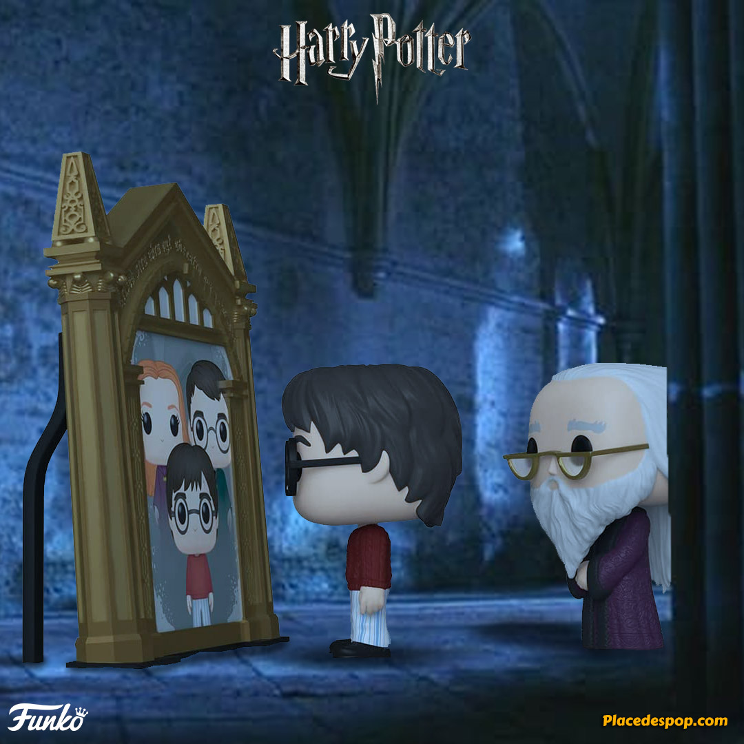 Assiette Collector Harry Potter – Le Miroir Du Riséd – État Parfait